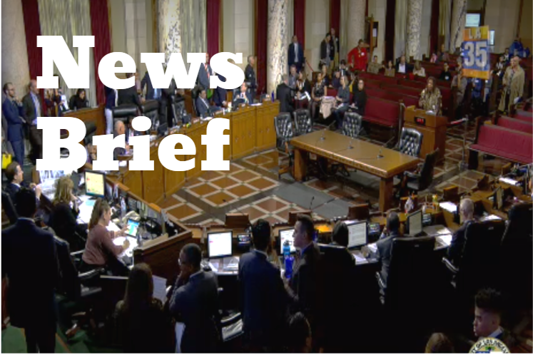 news brief city hall.PNG